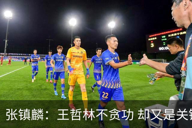 张镇麟：王哲林不贪功 却又是关键时刻能站出来的人 队长当之无愧